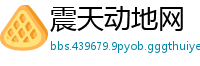 震天动地网
